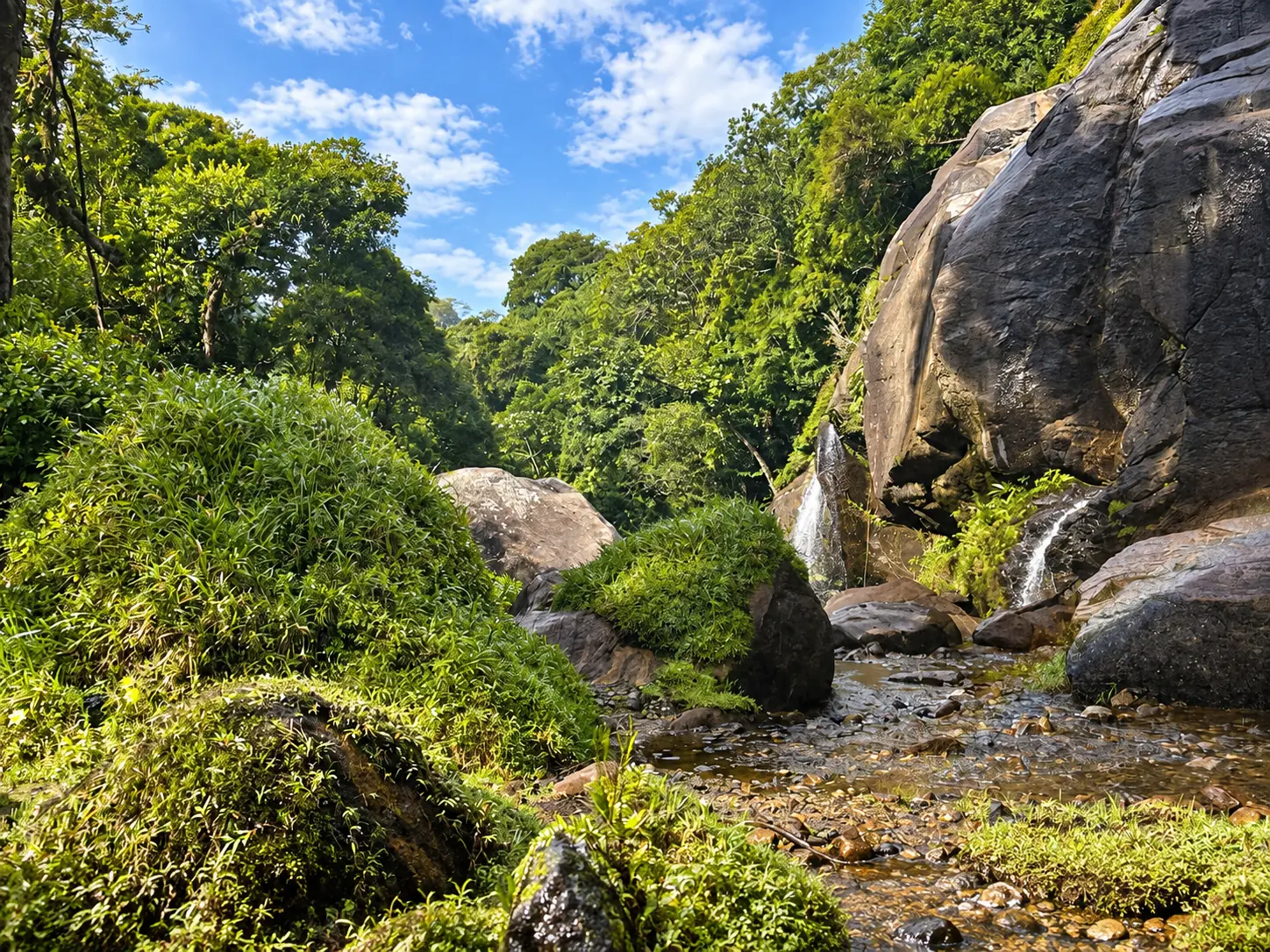 Queda d’água cercada pela floresta