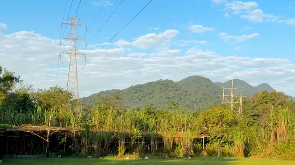 Trilha da Cachoeira da Torre 47
